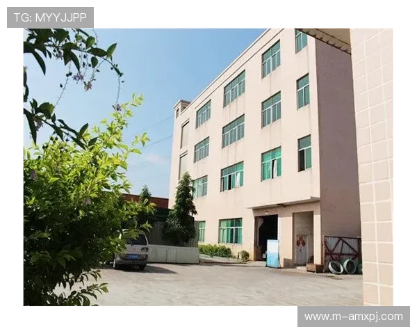 新葡新京集团网站：展示集团社会责任与公益项目成果