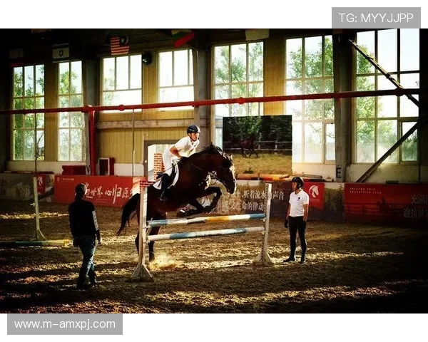 新葡萄娱乐城娱乐官网丰富游戏种类与玩法介绍满足不同玩家需求