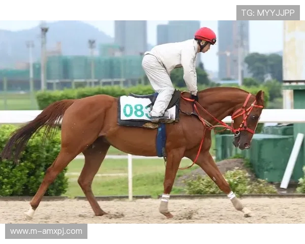 深入了解澳门赛马资讯，掌握赛马比赛规则、赛程安排及投注技巧